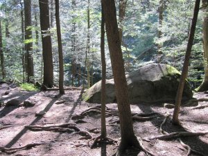 250968_10150940903376730_2014433969_n