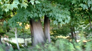 IMG_20150814_185942110